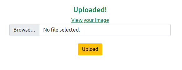 image-20230313174838711