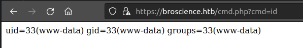 image-20230330204056872