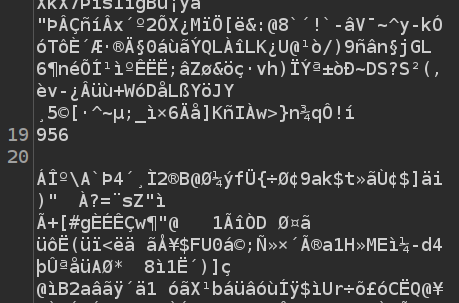 image-20231207131901106