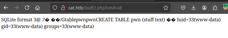 image-20250203190513770