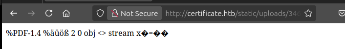 image-20250606101037655