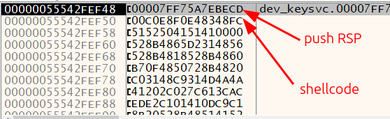 image-20250823081021991